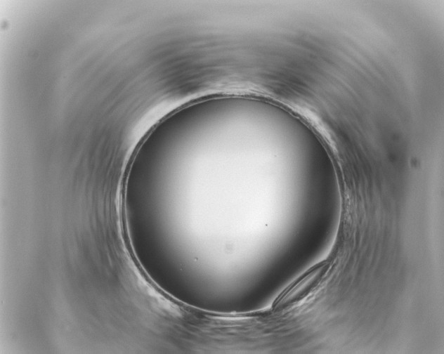 X0000086991343200704231835