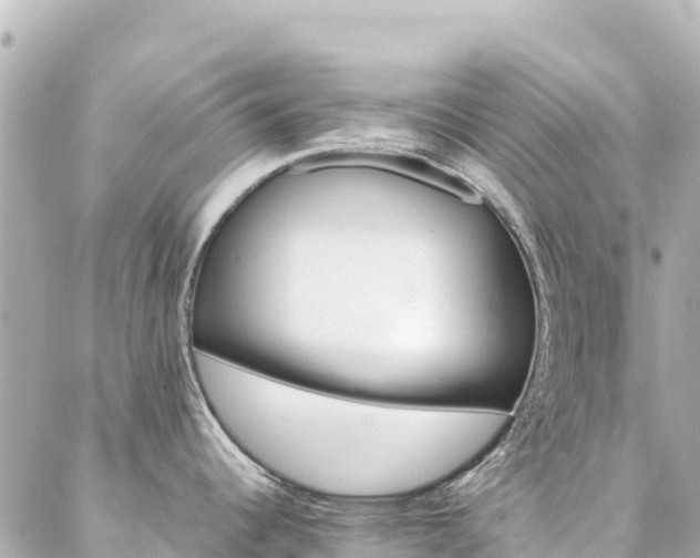 X0000086991344200704231835