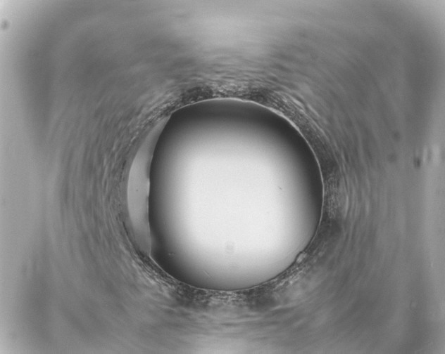 X0000086991345200704231835