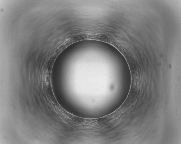 X0000086991346200704231835