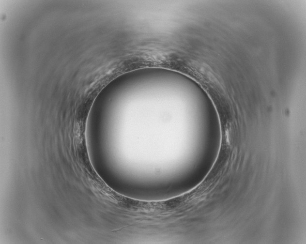 X0000086991347200704231835