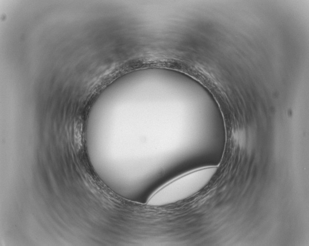 X0000086991348200704231834