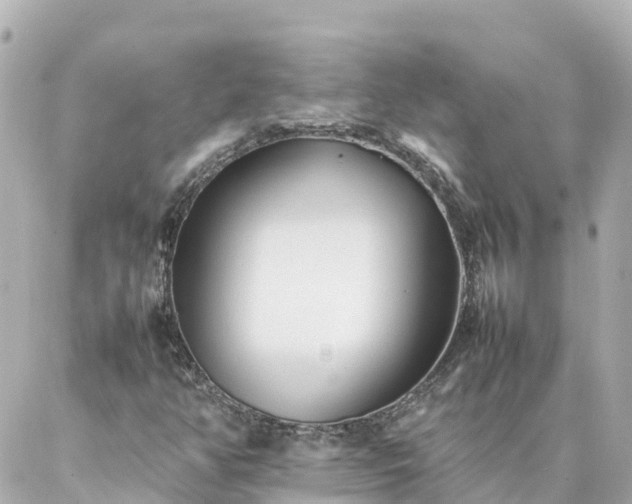 X0000086991350200704231834