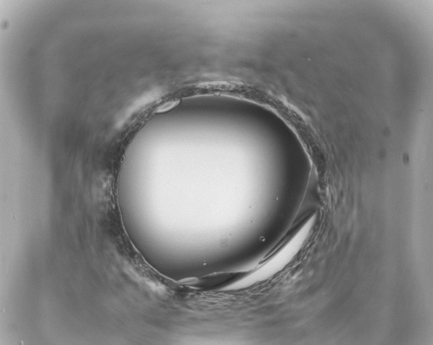 X0000086991351200704231834