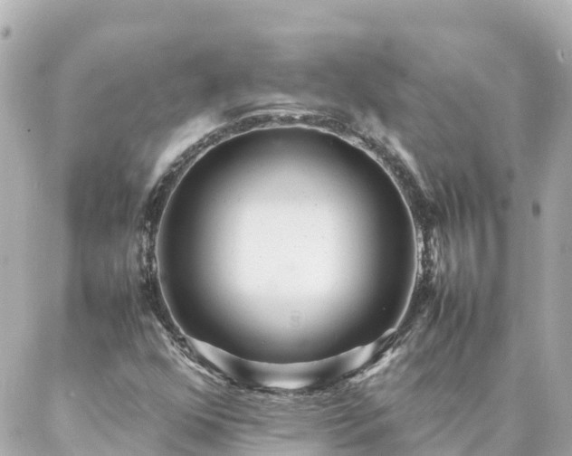 X0000086991352200704231834