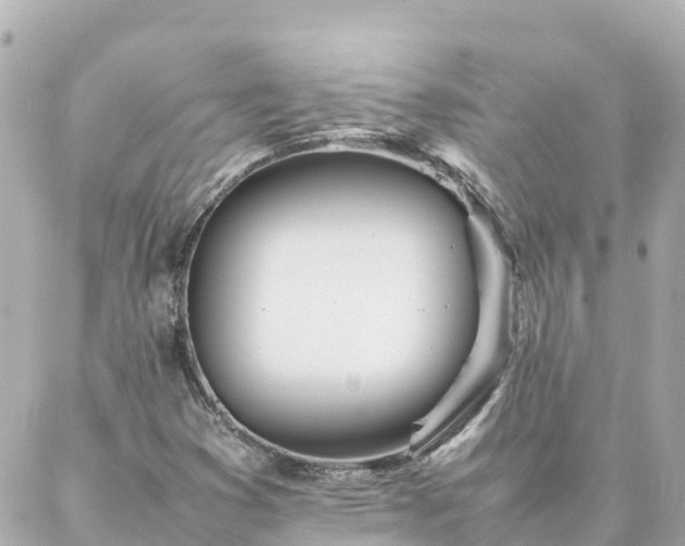 X0000086991353200704231834