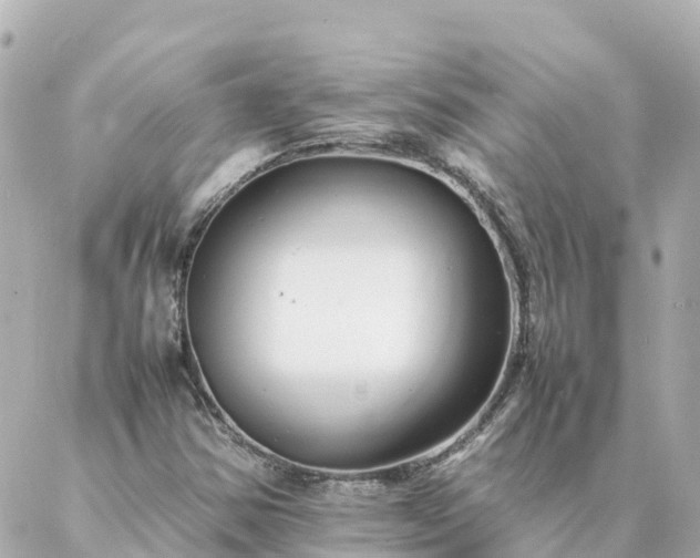 X0000086991354200704231834