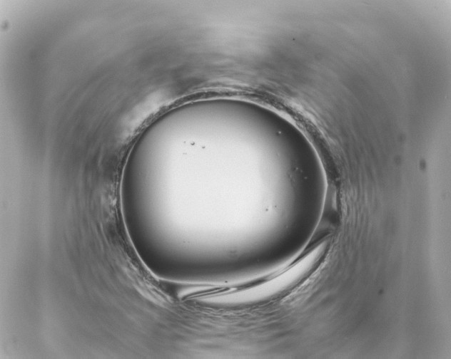 X0000086991355200704231834