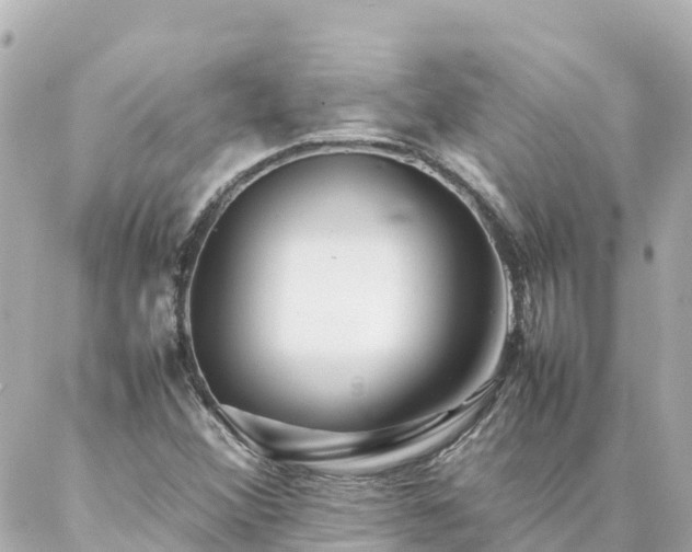 X0000086991356200704231834