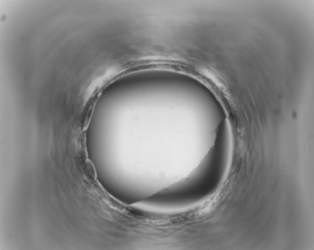 X0000086991357200704231834