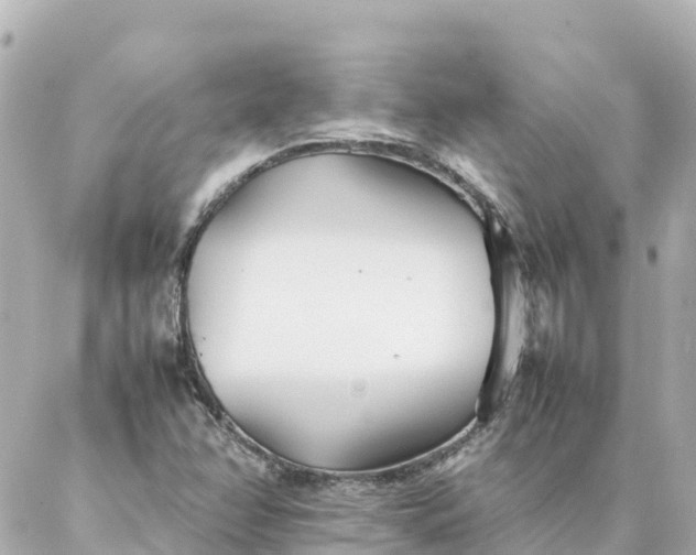 X0000086991358200704231834