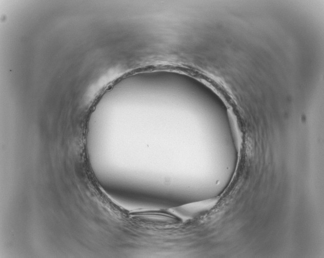 X0000086991359200704231834