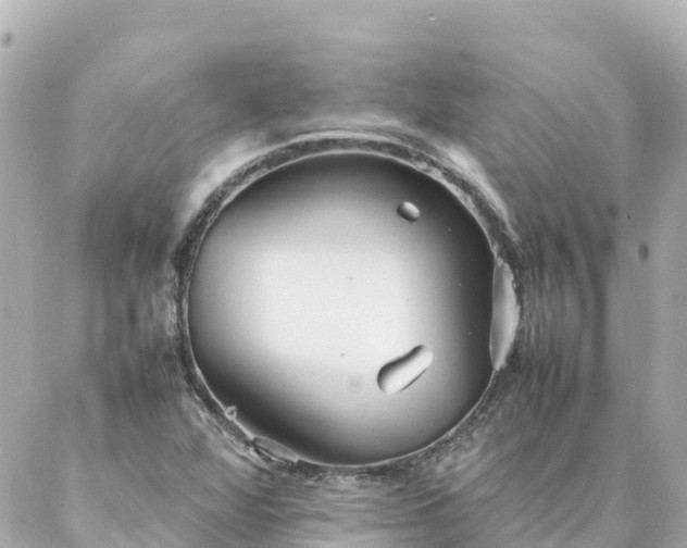 X0000086991360200704231834