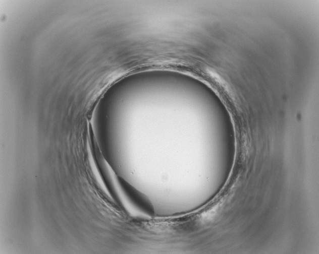 X0000086991361200704231834