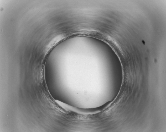 X0000086991362200704231834