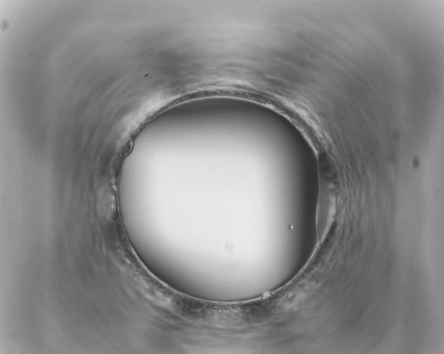 X0000086991363200704231834