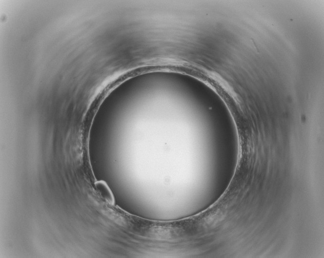 X0000086991364200704231834