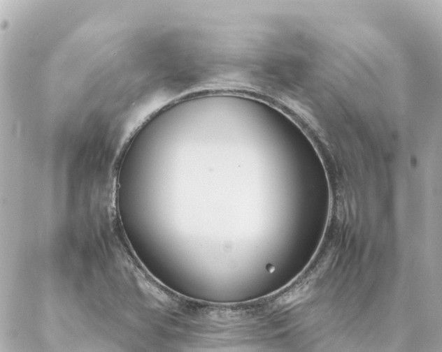 X0000086991366200704231834