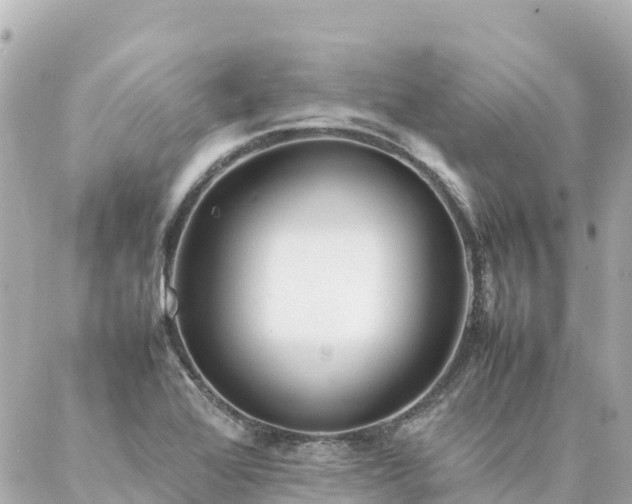 X0000086991368200704231834