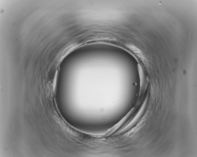 X0000086991369200704231834