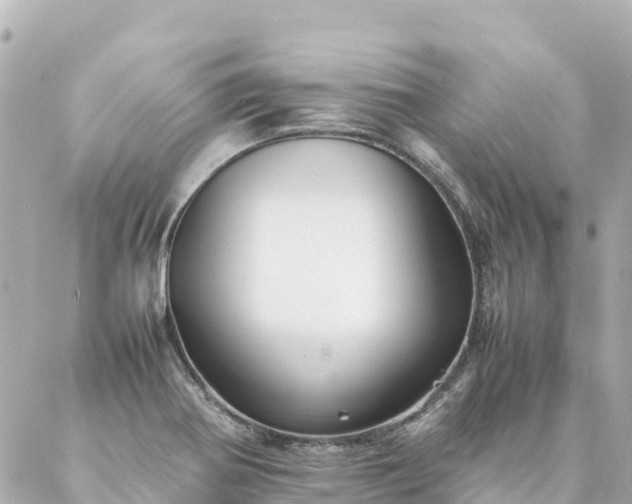 X0000086991370200704231834