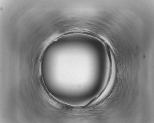 X0000086991371200704231834