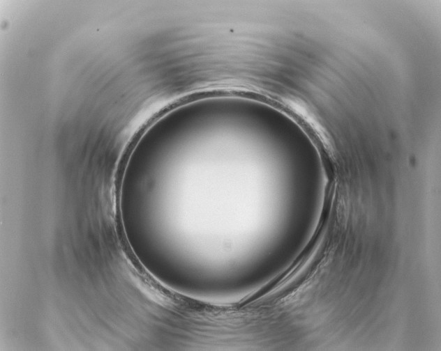 X0000086991372200704231834