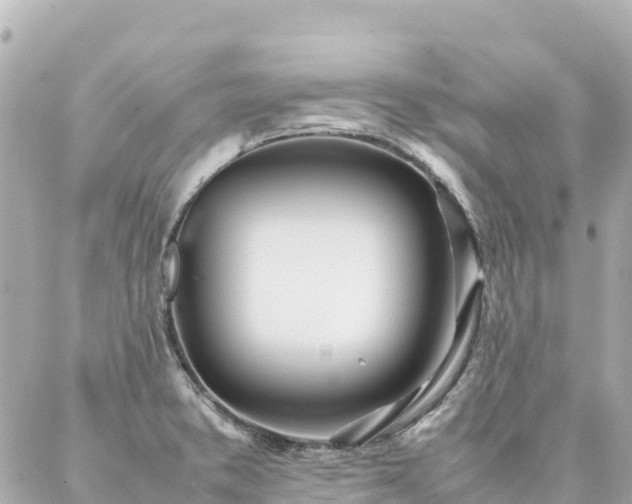 X0000086991373200704231834