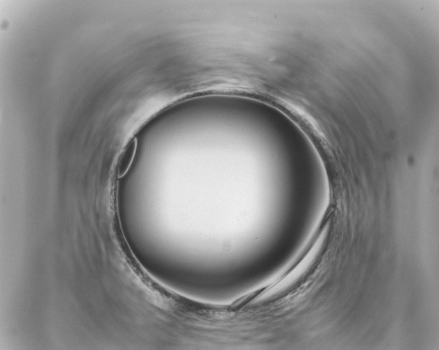 X0000086991375200704231834