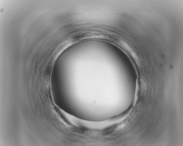 X0000086991377200704231834