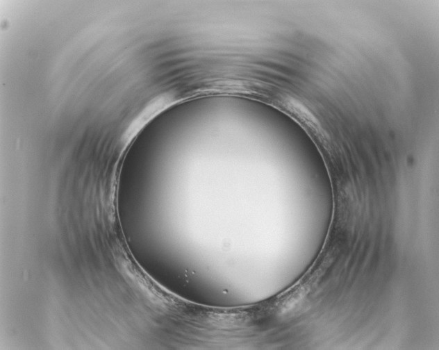 X0000086991378200704231834