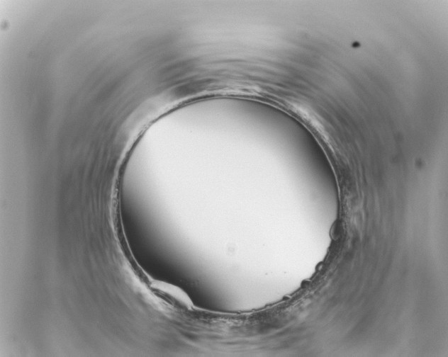 X0000086991379200704231834