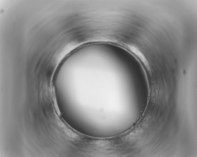 X0000086991380200704231834