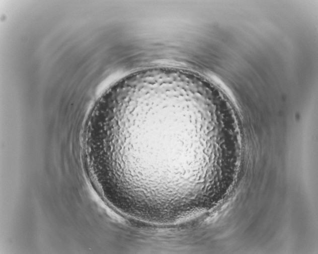 X0000086991381200704231834