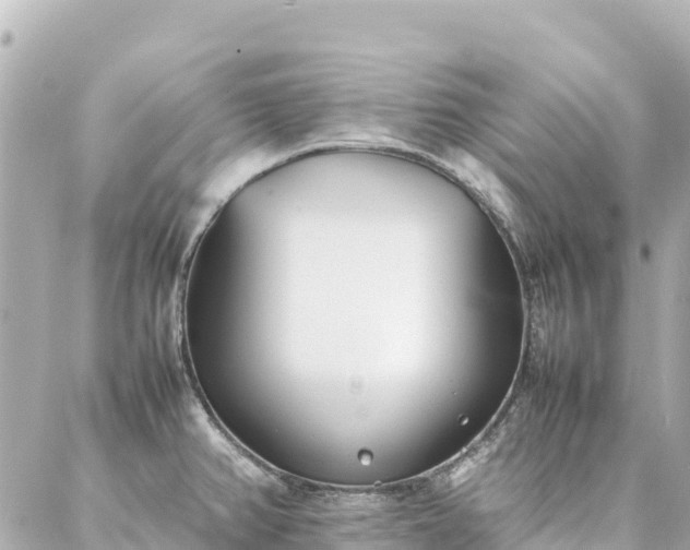 X0000086991382200704231834