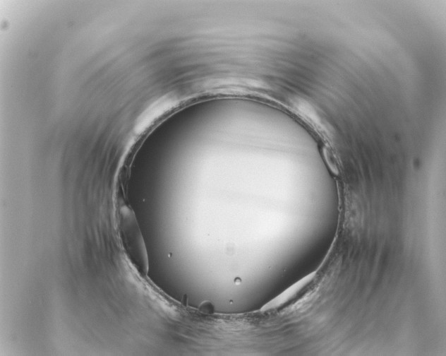 X0000086991384200704231834