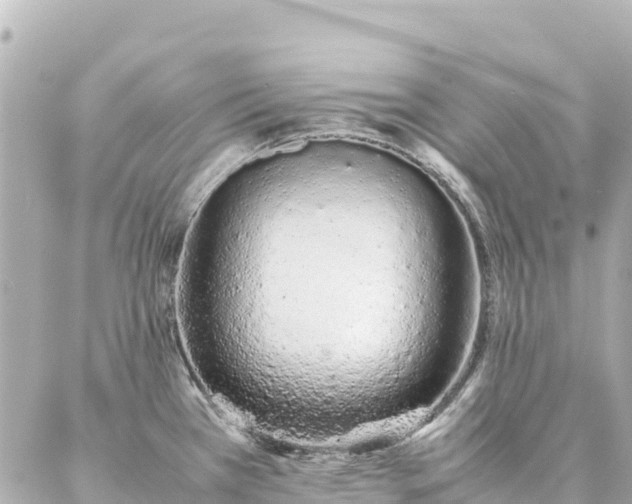 X0000086991385200704231834