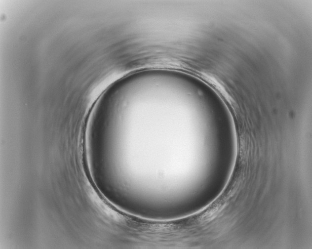 X0000086991387200704231834