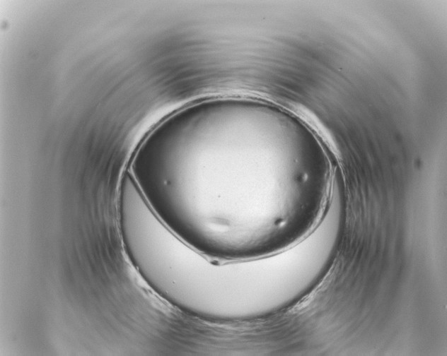 X0000086991388200704231834