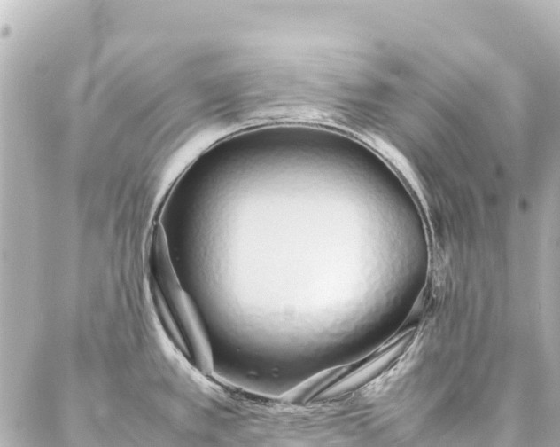 X0000086991389200704231834