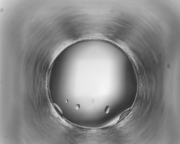 X0000086991390200704231834