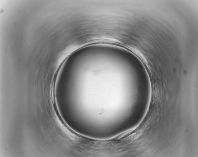 X0000086991391200704231834