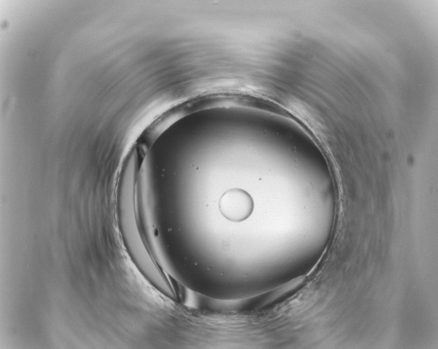 X0000086991392200704231834