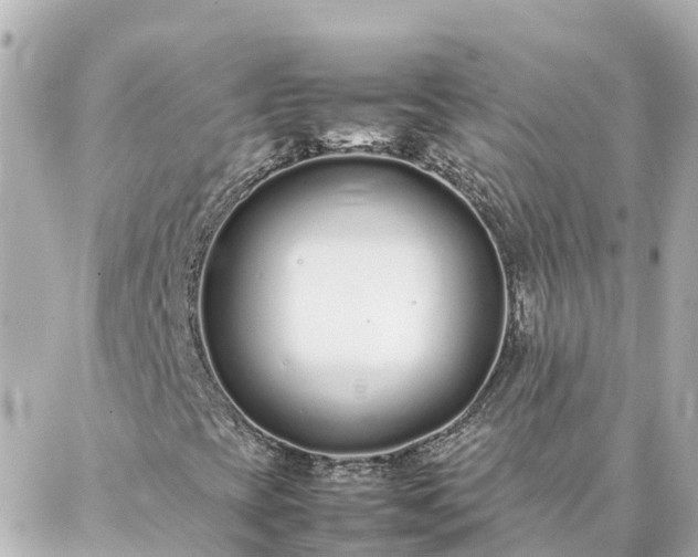 X0000086991393200704231833