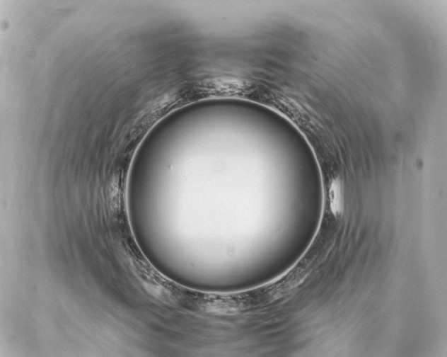 X0000086991395200704231833