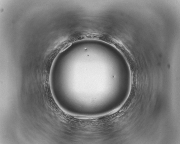 X0000086991399200704231833