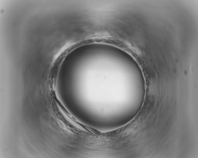 X0000086991400200704231833