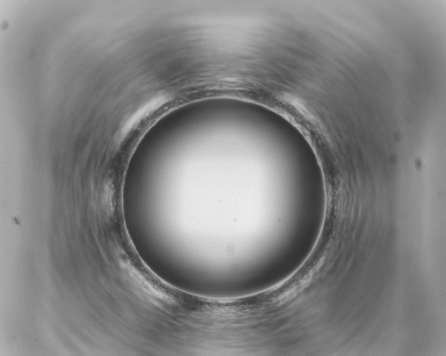 X0000086991402200704231833