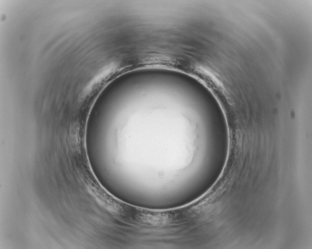 X0000086991403200704231833