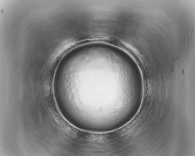 X0000086991407200704231833